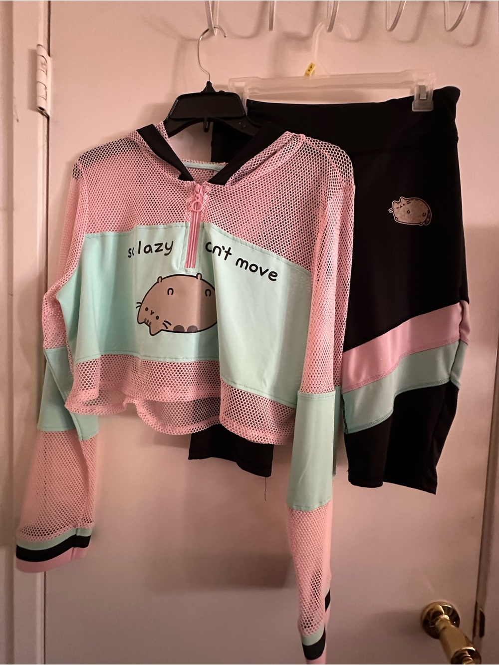 Pusheen Pink Mesh Zip Front Top with Mint Trim